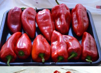 ISCURIO RECEPT STAR 73 GODINE: Ovako se prave najbolje pečene paprike sa juga Srbije, stigle direktno iz Vranja