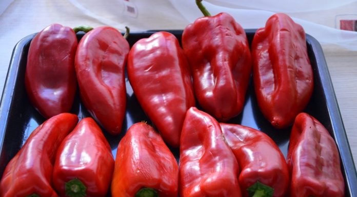ISCURIO RECEPT STAR 73 GODINE: Ovako se prave najbolje pečene paprike sa juga Srbije, stigle direktno iz Vranja