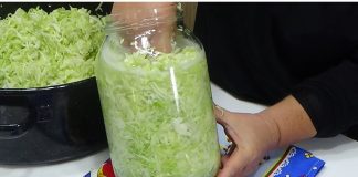 Kiseli kupus iz tegle, SPREMAN ZA 7 DANA! Pun vitamina, prirodni probiotik i lijek!