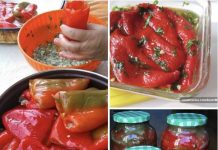 KISELE PUNJENE PAPRIKE ZA ZIMNICU…MOJ MUŽ KAŽE DA SU ČAK BOLJE OD OVOG U RESTORANU.