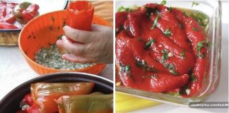 KISELE PUNJENE PAPRIKE ZA ZIMNICU…MOJ MUŽ KAŽE DA SU ČAK BOLJE OD OVOG U RESTORANU.