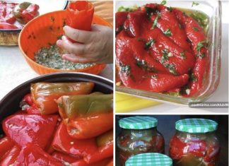 KISELE PUNJENE PAPRIKE ZA ZIMNICU…MOJ MUŽ KAŽE DA SU ČAK BOLJE OD OVOG U RESTORANU.