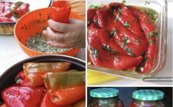 KISELE PUNJENE PAPRIKE ZA ZIMNICU…MOJ MUŽ KAŽE DA SU ČAK BOLJE OD OVOG U RESTORANU.