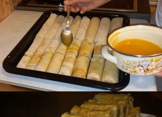 “BAKLAVA SA PLAZMOM”: OVO MORATE PROBATI JER JE STVARNO PREDOBRA!
