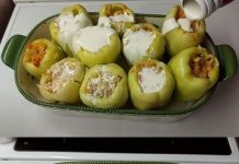 NAPUNILA SAM PAPRIKE S NEČIM ČEGA SE NIKAD NE BI SJETILI