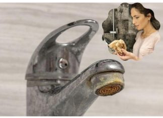 Trik za ČIŠĆENJE KAMENCA se širi kao zaraza: Srpska influenserka otkrila caku