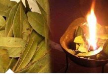 KADA SE STVARI KRENE PREOKRET: Zapalite lovorov list u prostoru i nakon KRATKOG VREMENA promatrajte efekte.