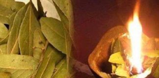 KADA SE STVARI KRENE PREOKRET: Zapalite lovorov list u prostoru i nakon KRATKOG VREMENA promatrajte efekte.