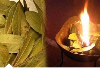 KADA SE STVARI KRENE PREOKRET: Zapalite lovorov list u prostoru i nakon KRATKOG VREMENA promatrajte efekte.