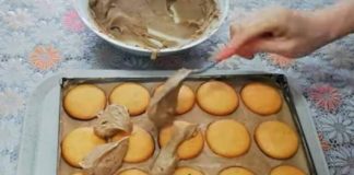 PLAZMA TORTA SA JAFA KEKSOM BEZ PEČENJA…MOJA DOBITNA KOMBINACIJA🧇🧇🧇🧇