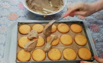 PLAZMA TORTA SA JAFA KEKSOM BEZ PEČENJA…MOJA DOBITNA KOMBINACIJA🧇🧇🧇🧇