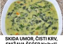 SKIDA UMOR, ČISTI KRV, SNIŽAVA ŠEĆER Najbolji starinski recept za čorbu od korive, da pucate od zdravlja