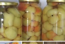 NAJBOLJI NAČIN PRIPREME PARADAJZ-PAPRIKE ZA ZIMNICU IKAD!