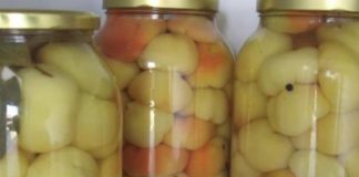 NAJBOLJI NAČIN PRIPREME PARADAJZ-PAPRIKE ZA ZIMNICU IKAD!