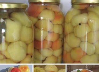 NAJBOLJI NAČIN PRIPREME PARADAJZ-PAPRIKE ZA ZIMNICU IKAD!