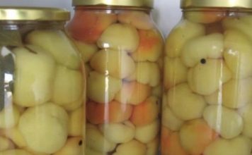 NAJBOLJI NAČIN PRIPREME PARADAJZ-PAPRIKE ZA ZIMNICU IKAD!