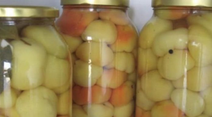 NAJBOLJI NAČIN PRIPREME PARADAJZ-PAPRIKE ZA ZIMNICU IKAD!