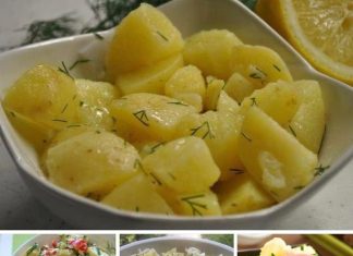 KROMPIR SALATA JE UVIJEK UKUSNA, A JA SE TRUDIM DA JE PRIPREMIM NA RAZNE NAČINE. ISPROBAJTE I OVAJ…