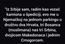 “Rodom sam iz Srbije, radim kao vozač kamiona”