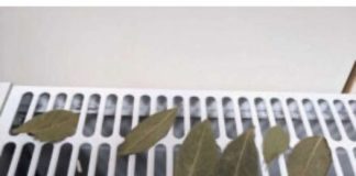 Moja baka stavi lovorov list na radijator u spavaćoj sobi, jer se vjeruje da rješava ovaj problem u kućanstvu.