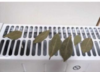 Moja baka stavi lovorov list na radijator u spavaćoj sobi, jer se vjeruje da rješava ovaj problem u kućanstvu.