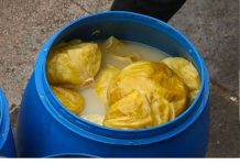 DOMAĆICA OTKRILA KAKO DA VAM SE KISELI KUPUS NE POKVARI: Caka nije RASO, nego ova TEHNIKA u BURETU