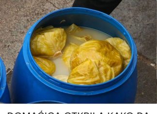 DOMAĆICA OTKRILA KAKO DA VAM SE KISELI KUPUS NE POKVARI: Caka nije RASO, nego ova TEHNIKA u BURETU