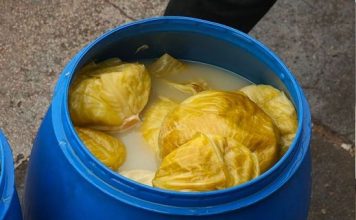 DOMAĆICA OTKRILA KAKO DA VAM SE KISELI KUPUS NE POKVARI: Caka nije RASO, nego ova TEHNIKA u BURETU