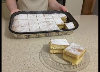 JEDNOSTAVNI KOLAČ NA ČAŠE SA JABUKAMA