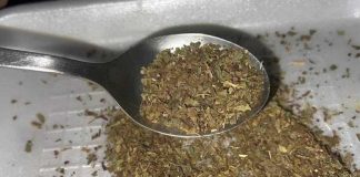 ZAČIN KOJI IZBACUJE LOŠ HOLESTEROL IZ ARTERIJA: OTČEPLJUJE KRVNE SUDOVE, SPREČAVA INFARKT