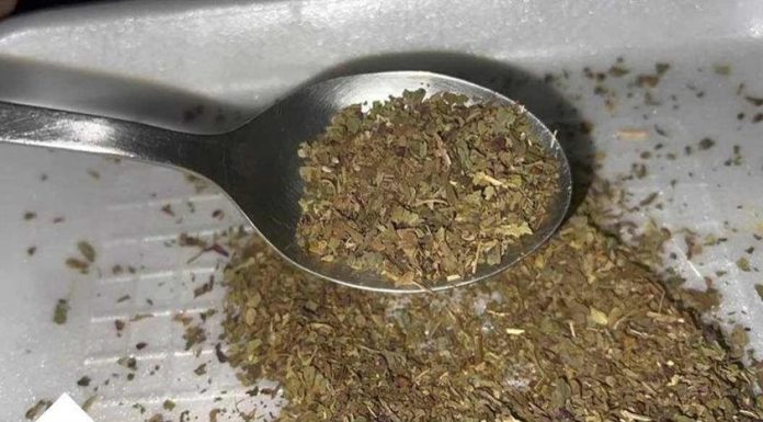 ZAČIN KOJI IZBACUJE LOŠ HOLESTEROL IZ ARTERIJA: OTČEPLJUJE KRVNE SUDOVE, SPREČAVA INFARKT