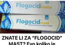 ZNATE LI ZA FLOGOCID MAST – Evo koliko je kvalitetna i koja je njena primjena