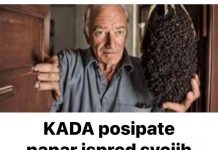 Kada posipate papar ispred svojih vrata, biti ćete mi zauvijek zahvalni!