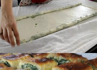 ZELJANICA ZA 5: PRIPREMA SE ZA TREN OD GOTOVIH KORA