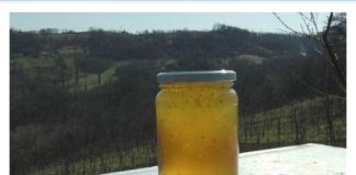 KAŠIKU MEDA POJEDE PRIJE SPAVANJA, evo šta se ujutro dogodi: KAD ČUJETE I VI ĆETE URADITI ISTO