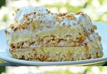 JEDNA OD NAJLJEPŠIH TORTI KOJA SE TOPI U USTIMA