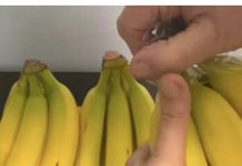 EVO KAKO DA VAM BANANE NE POCRNE I TRAJU ČAK GODINU DANA: