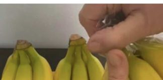 EVO KAKO DA VAM BANANE NE POCRNE I TRAJU ČAK GODINU DANA: