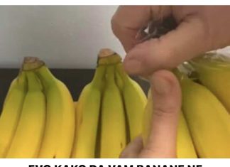 EVO KAKO DA VAM BANANE NE POCRNE I TRAJU ČAK GODINU DANA:
