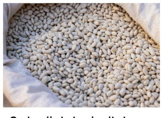 Grah prije kuhanja nikako nemojte potapati u vodi: Umjesto toga iskoristite jednu namirnicu