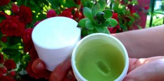 Čirevi, bradavice, upalne akne i pege mogu postati deo prošlosti: Za svega 10 minuta pripremite moćnu mast od čuvarkuće