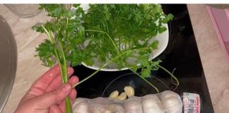 ZA SAMO 2 SATA KROZ STOLICU I URIN IZBACITE SVE STO SMETA ZDRAVOM ORGANIZMU! Univerzalni LIJEK!