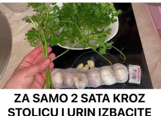 ZA SAMO 2 SATA KROZ STOLICU I URIN IZBACITE SVE STO SMETA ZDRAVOM ORGANIZMU! Univerzalni LIJEK!