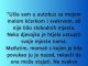 “Ušla sam uautobus sa mojom malom kćerkom i svekrvom…”