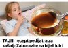 TAJNI recept pedijatra za kašalj: Zaboravite na bijeli luk i luk, ovo djeluje ODMAH i djeca pitaju čak i da li su zdrava!