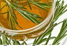 RUZMARIN…poboljšava pamćenje i do 75%, štiti srce, poboljšava cirkulaciju.Isprobajte sad i osetite razliku!