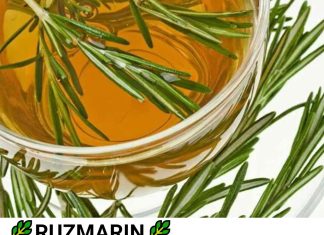 RUZMARIN…poboljšava pamćenje i do 75%, štiti srce, poboljšava cirkulaciju.Isprobajte sad i osetite razliku!