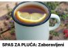 SPAS ZA PLUĆA Zaboravljeni domaći čaj momentalno čisti pluća i zaustavlja kašalj preko noći