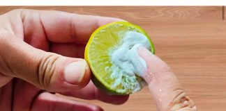 Umro bih i ne bih znao: SAMO stavi pastu za zube na limun i nikad više neću imati ovaj problem