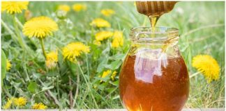 DOMAĆI Med od maslačka sa limunom. Bez KUHANJA! 🍯 🍯